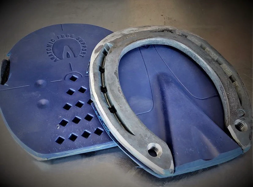 Cuscinetti in TPU per Ferrature Equine